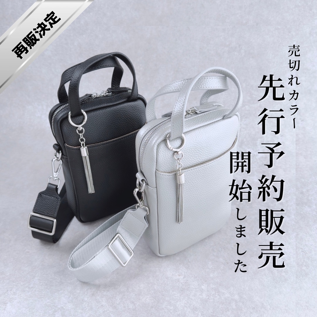 【先行予約販売スタート】