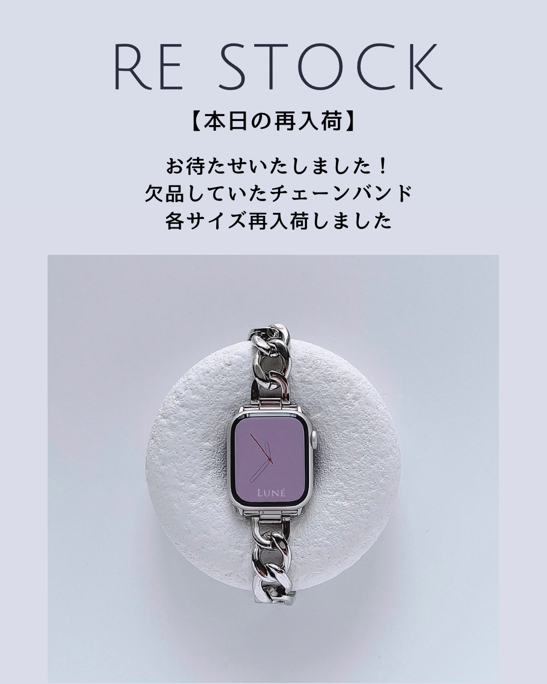 ［本日の再入荷］