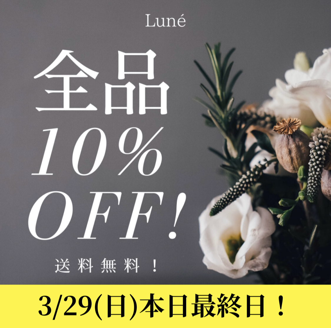 【SALE最終日🔥】