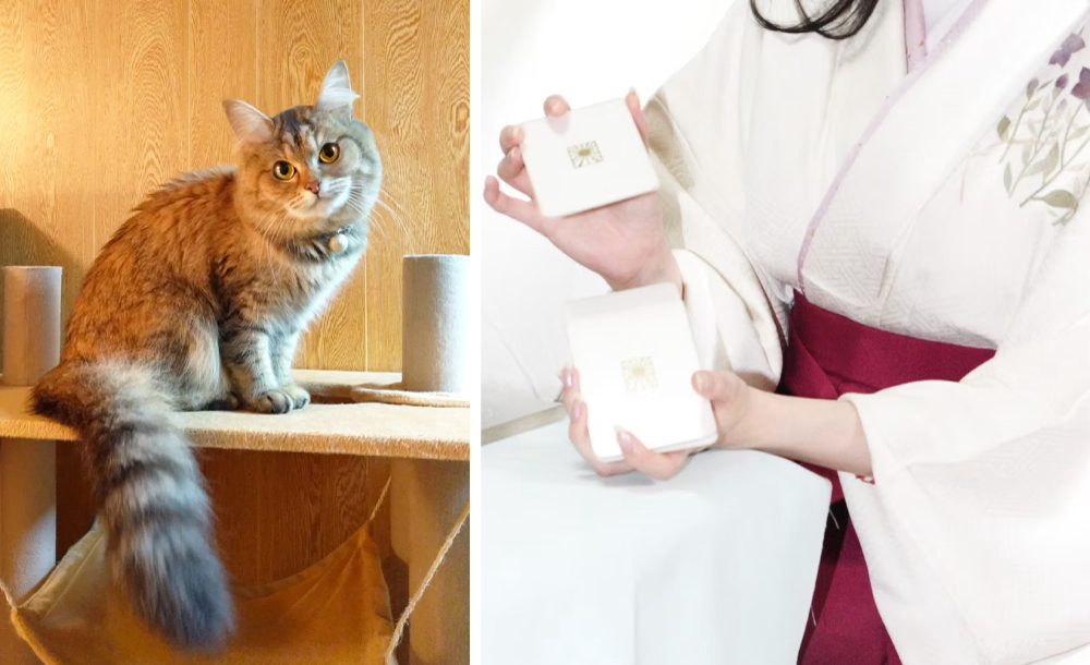 関西最大級の猫グッズイベント「にゃんこ博覧会2025」に「推しねこ占い」の著者・じぇふさん出展