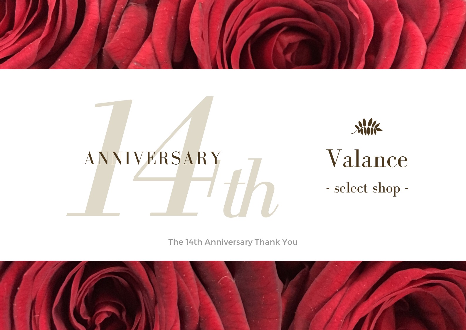 「11/19-24 valance 14th anniversary!」