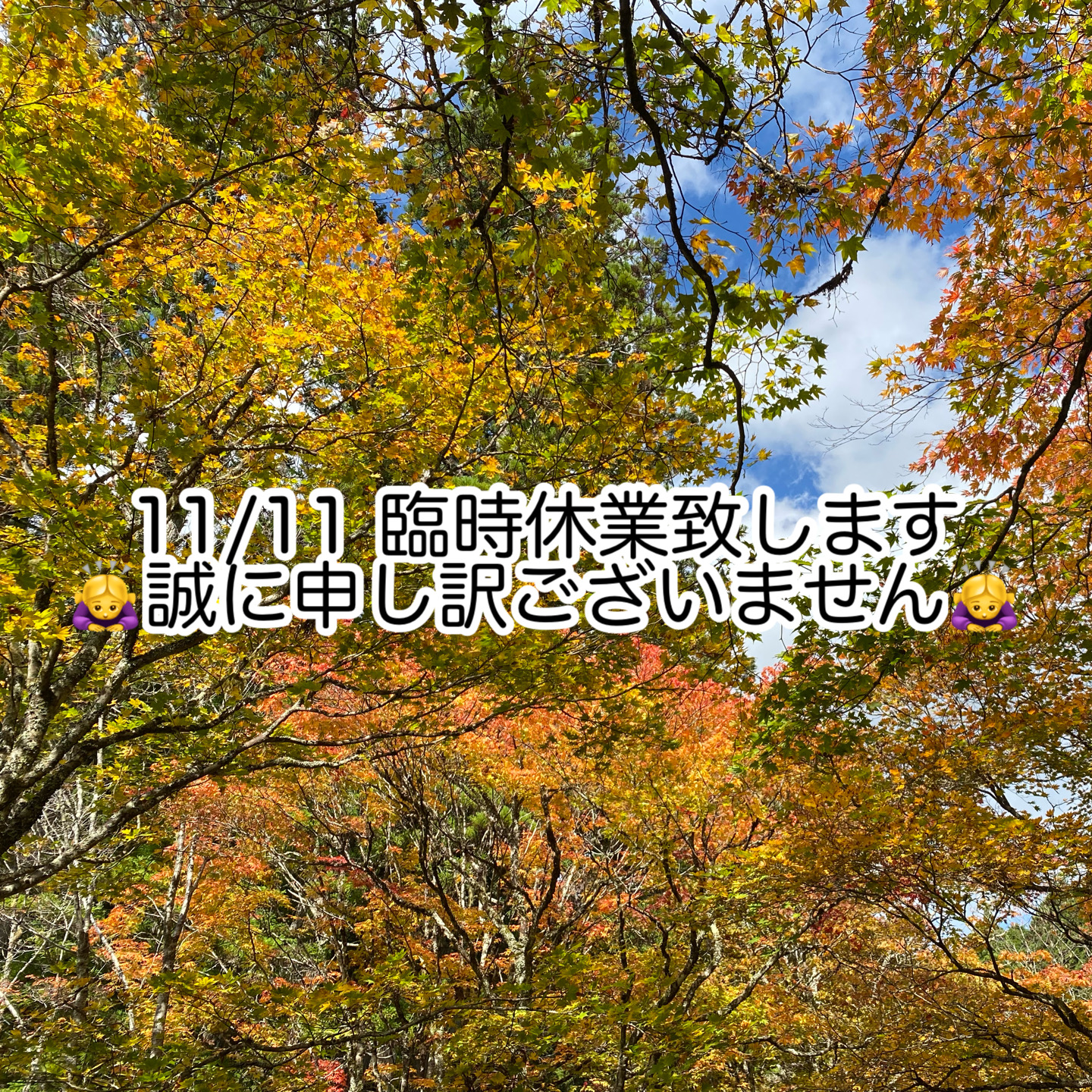 《臨時休業のお知らせ》