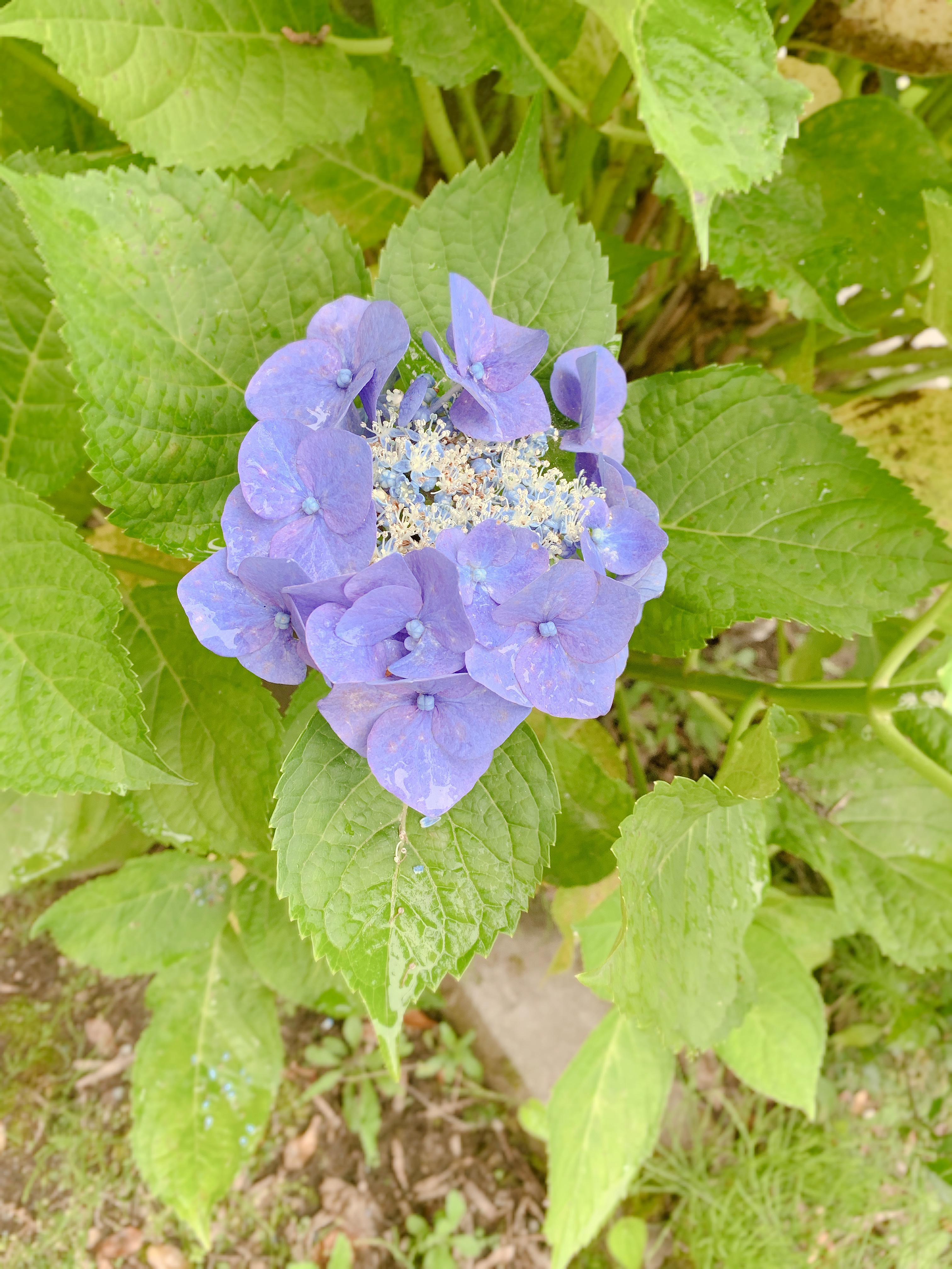 ジメジメ...今日も雨模様。そんな日は...✨