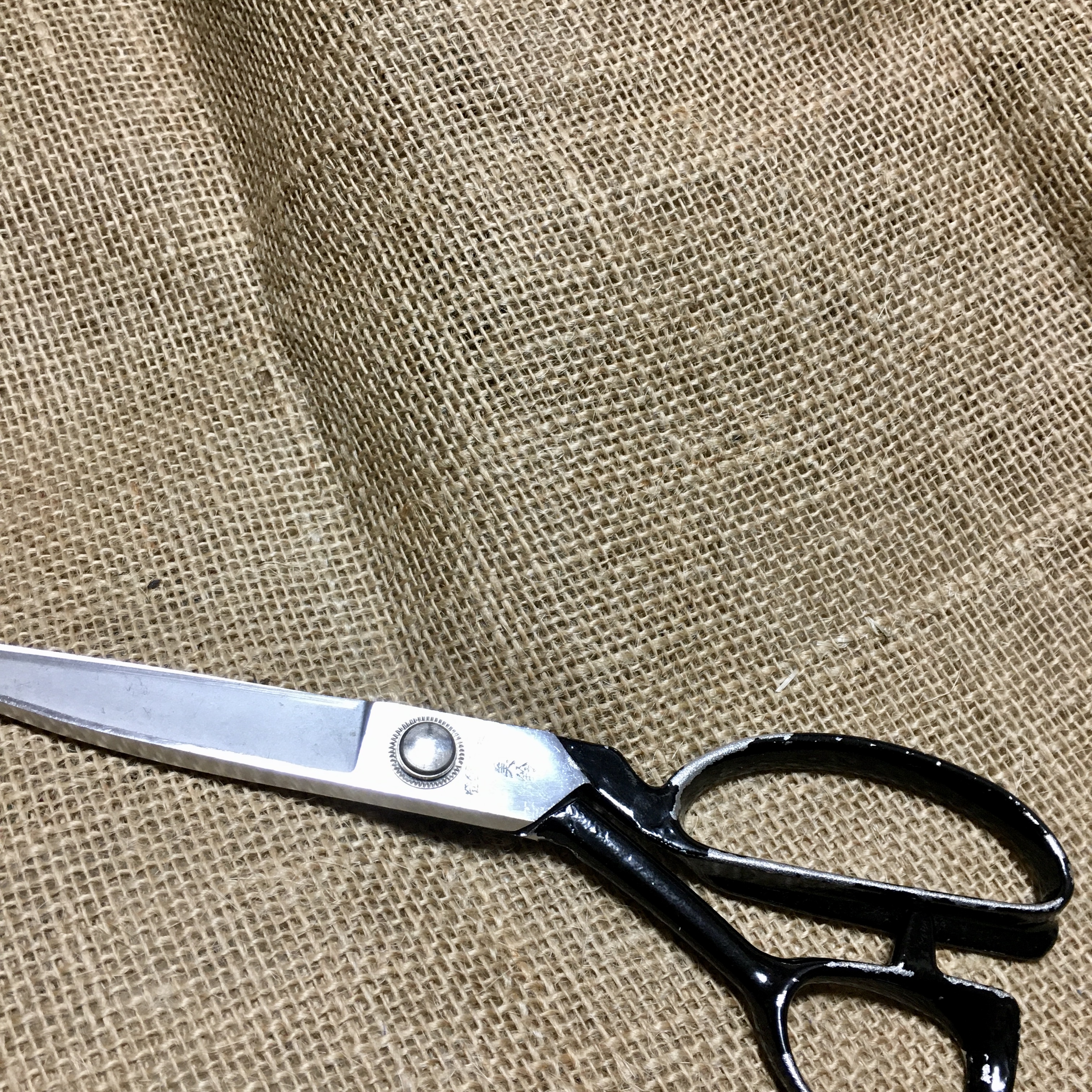ジュート①