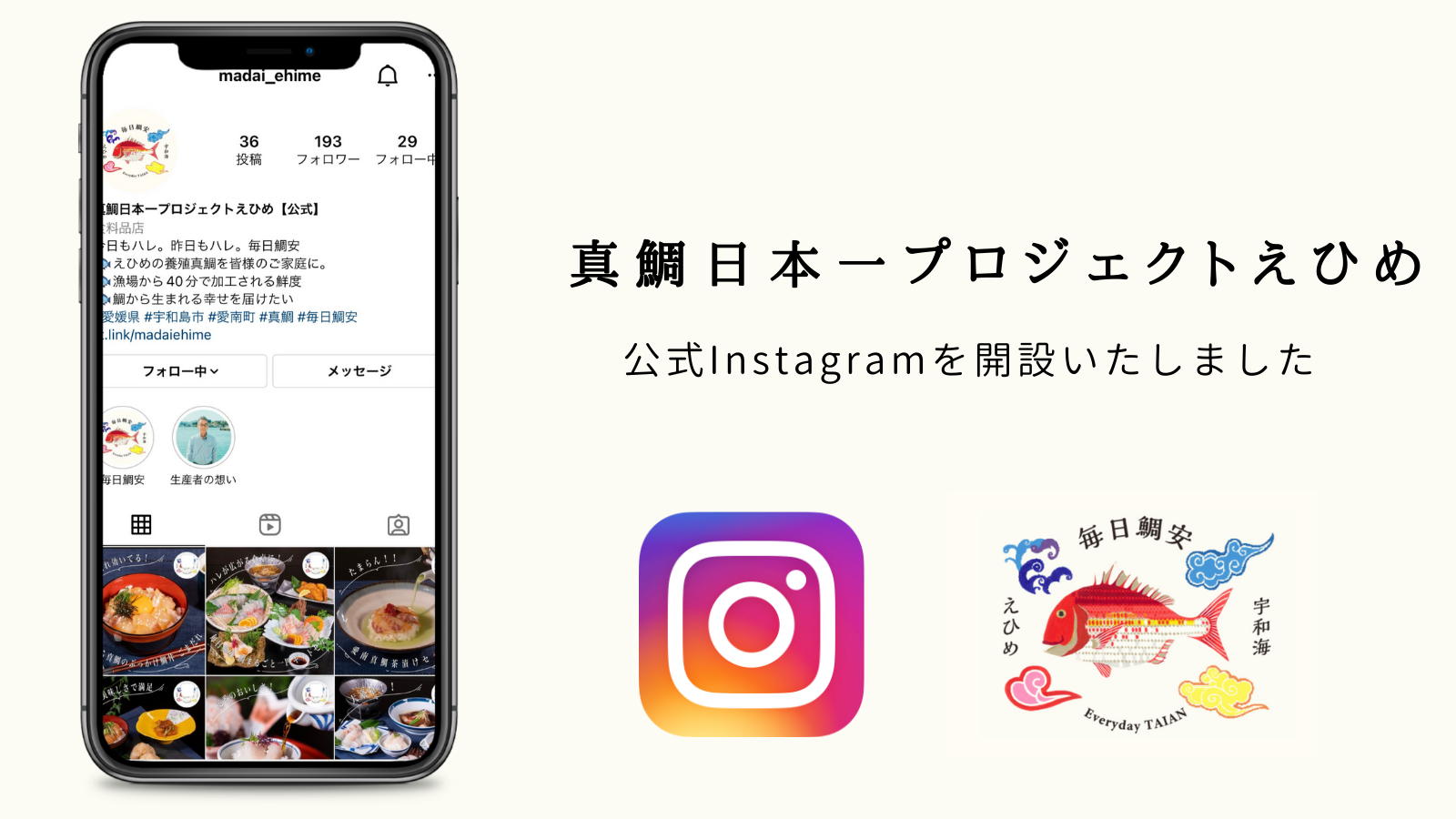 【真鯛日本一プロジェクトえひめ】公式Instagram開設のお知らせ＼(゜ロ＼)(／ロ゜)／