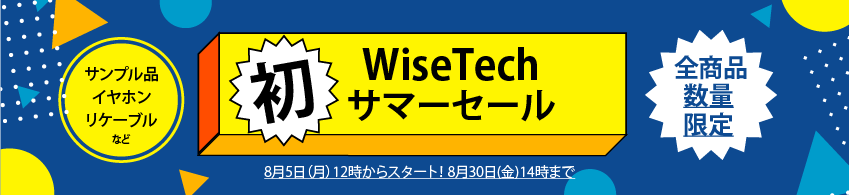 Wisetech summer event