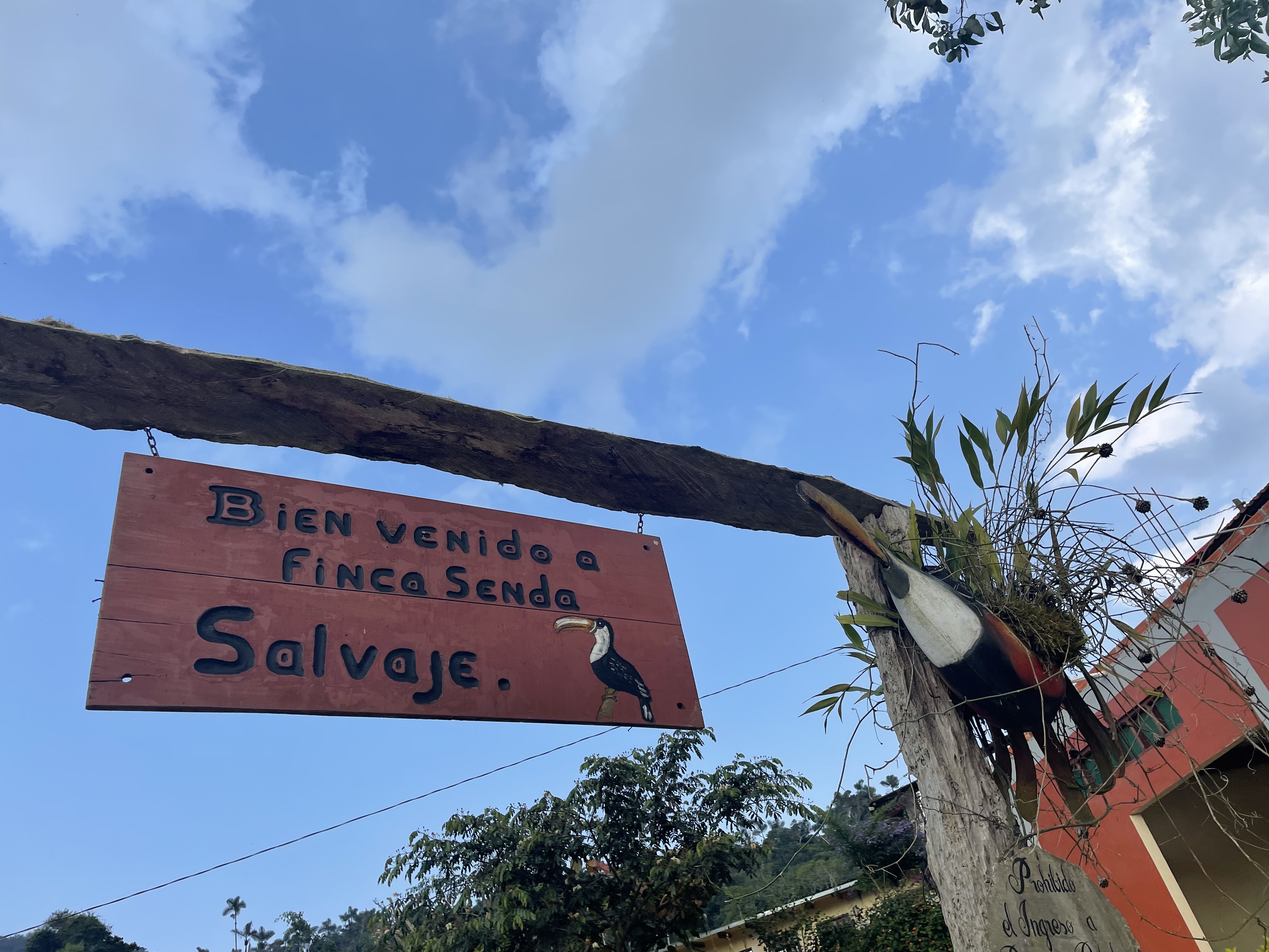 「1月の定期便」