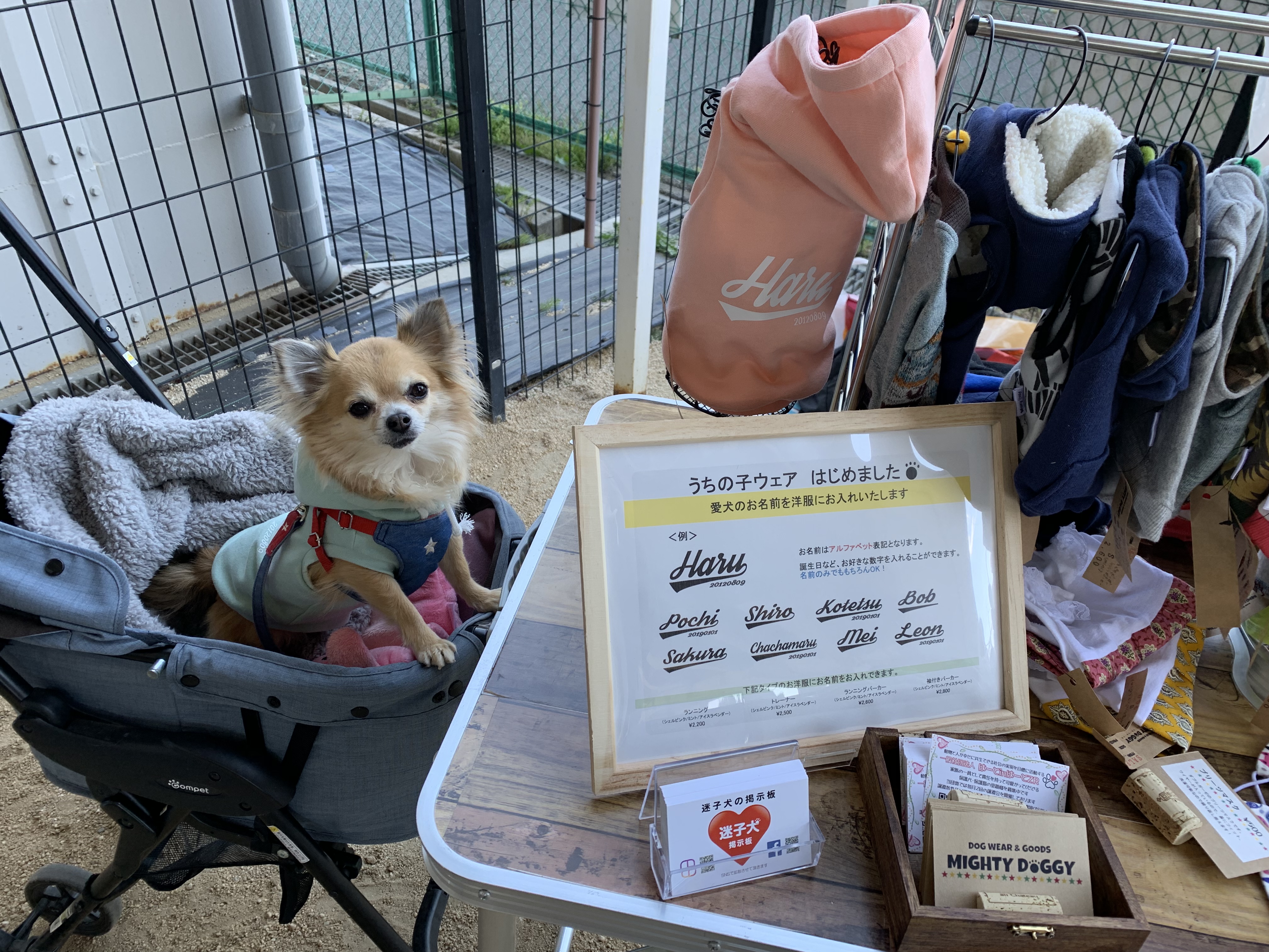 ランランマーケット2019 スプリング