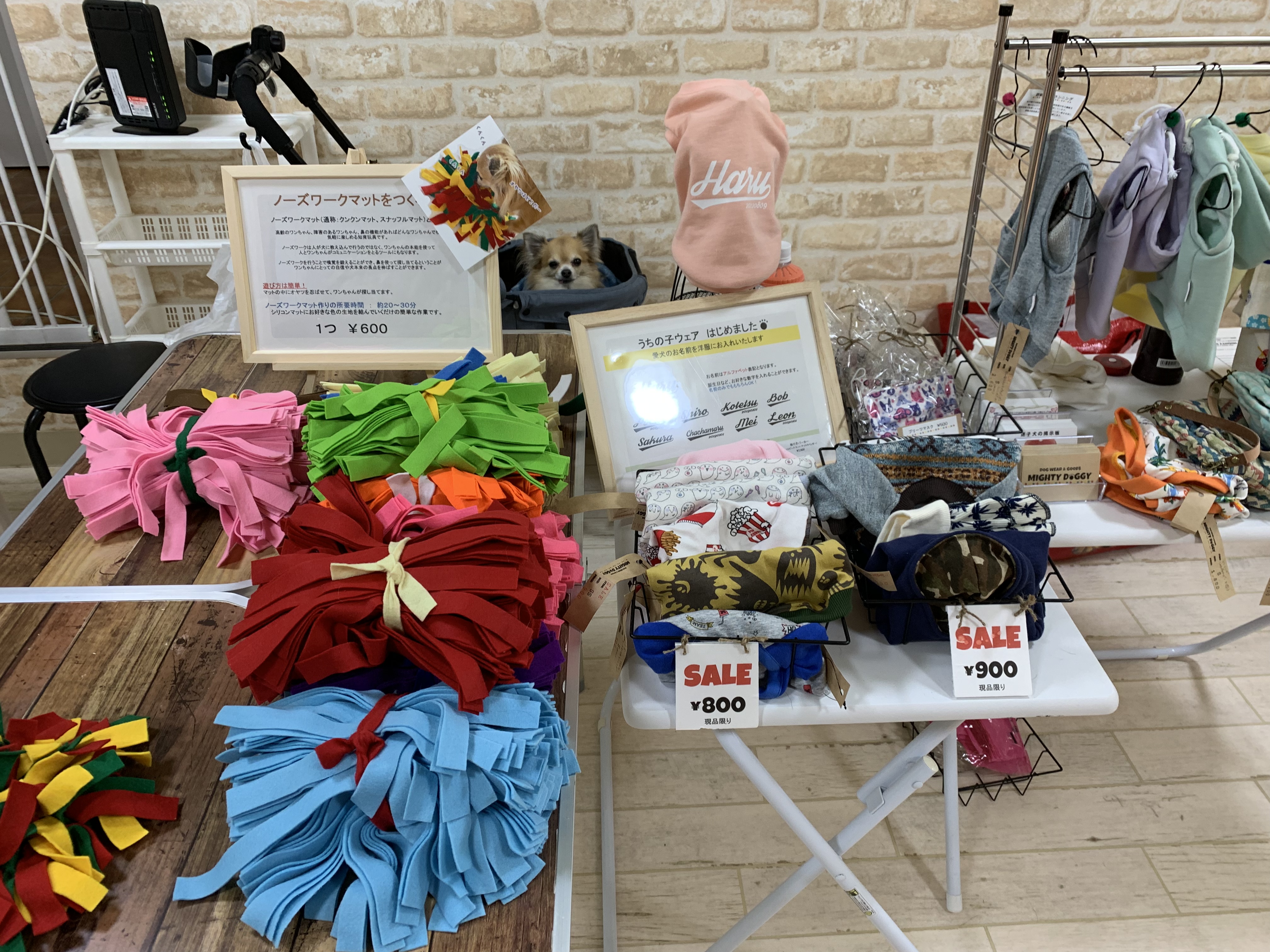 はっぴーているず相模原店 令和記念イベント