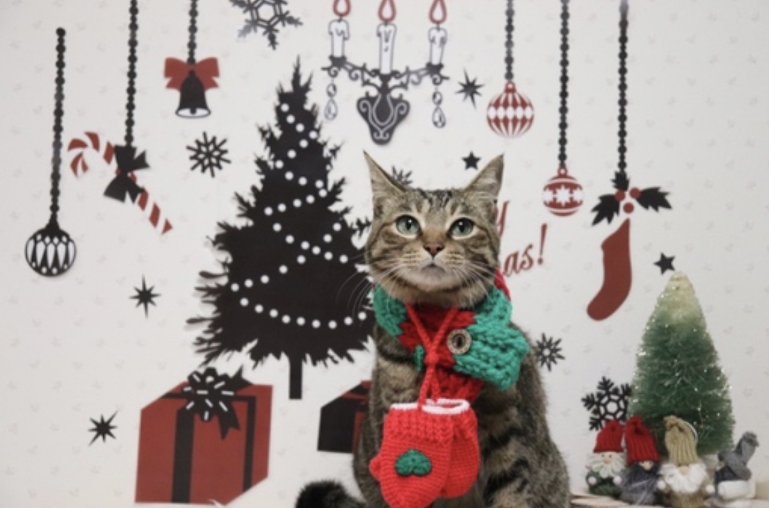 ありがとうございました☺︎ (マフラー クリスマスNo.1)