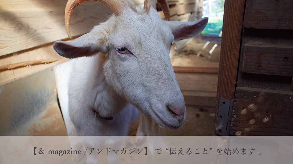 ＆magazine /  アンドマガジン　で  “伝えること”  を始めます。