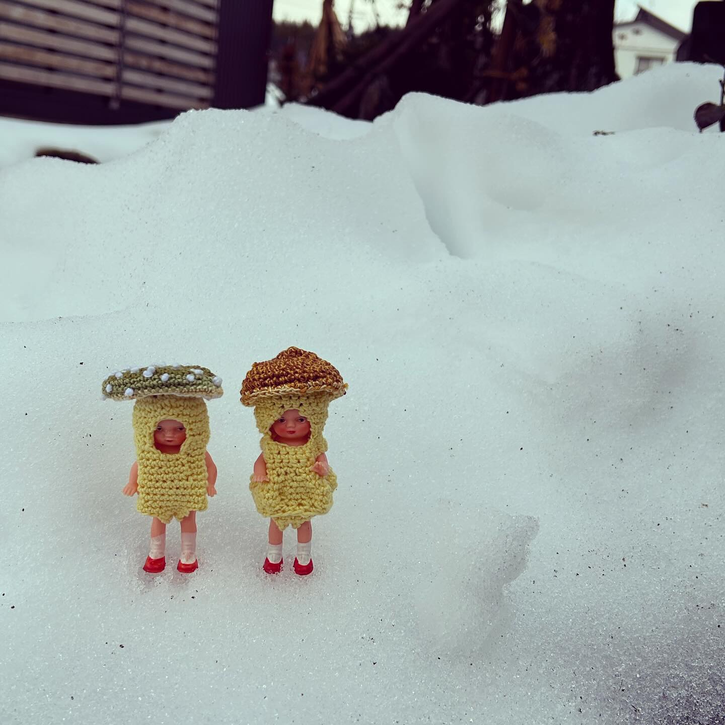 ♪♪♪♪ お客様の声 ♪♪♪♪ 2024.01.05