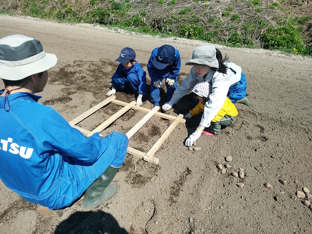 ジャガイモ植え！と明日はサツマイモ植え