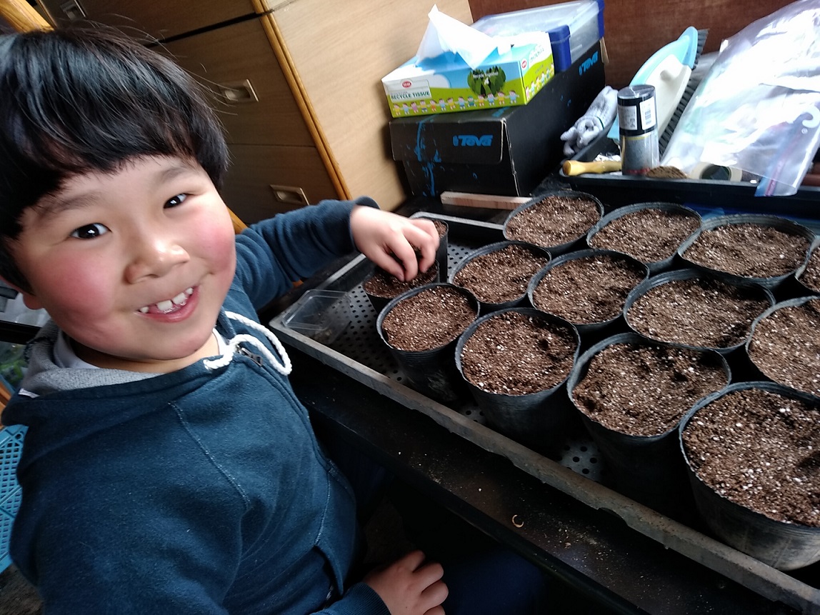 食べた果物の種をまく