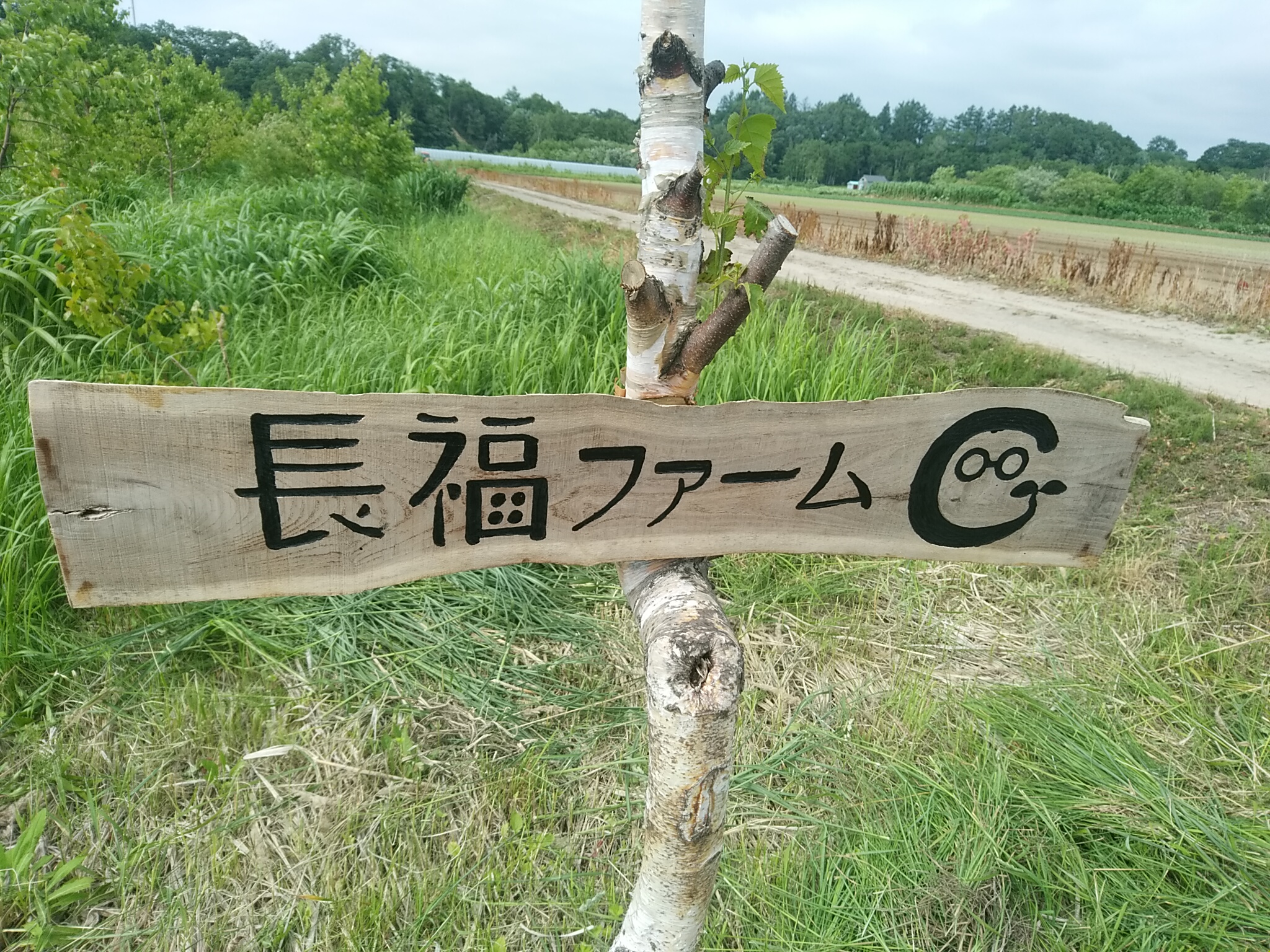 看板色塗り