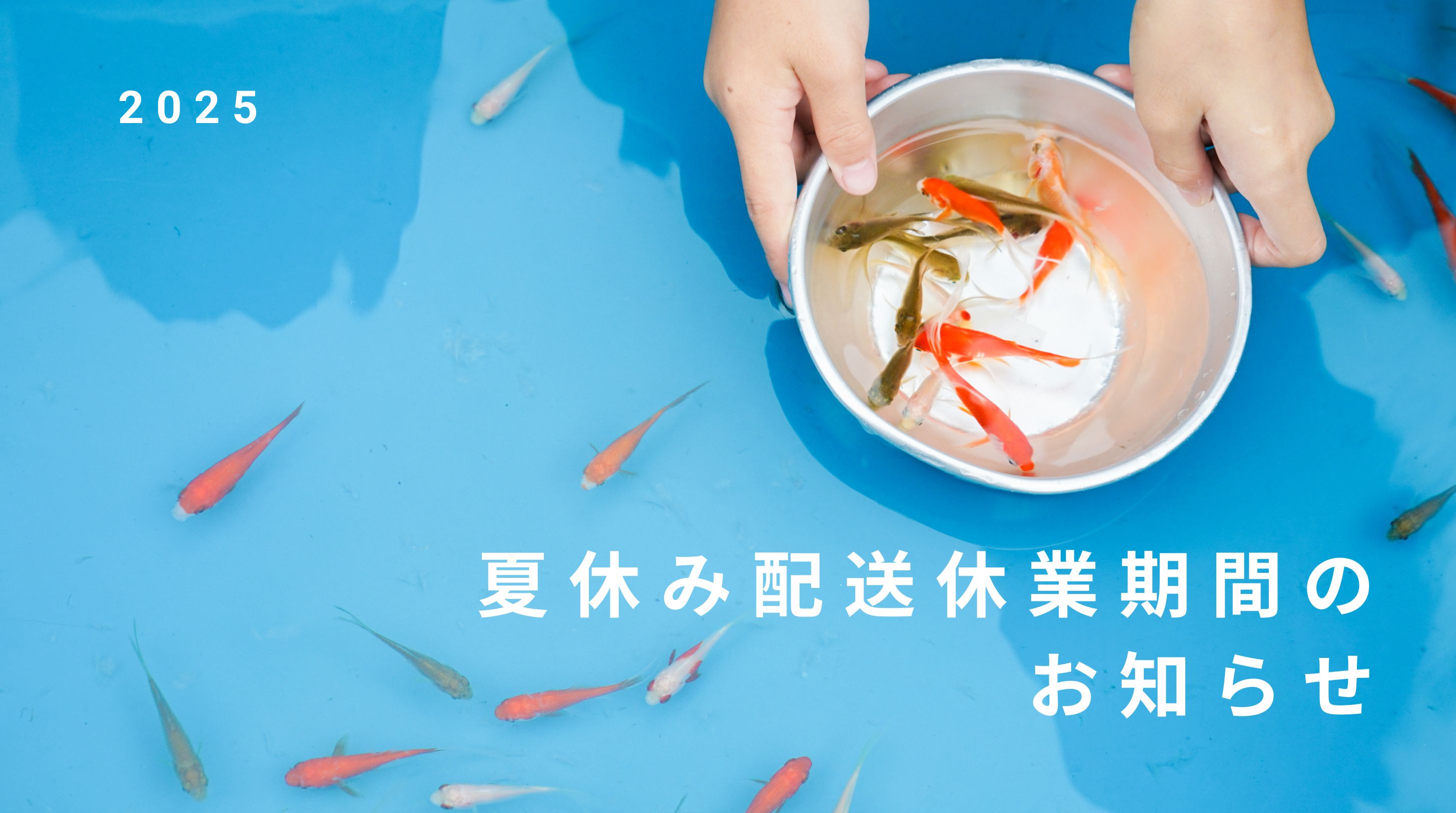 【夏季休業のお知らせ】　8/13~17　配送業務停止