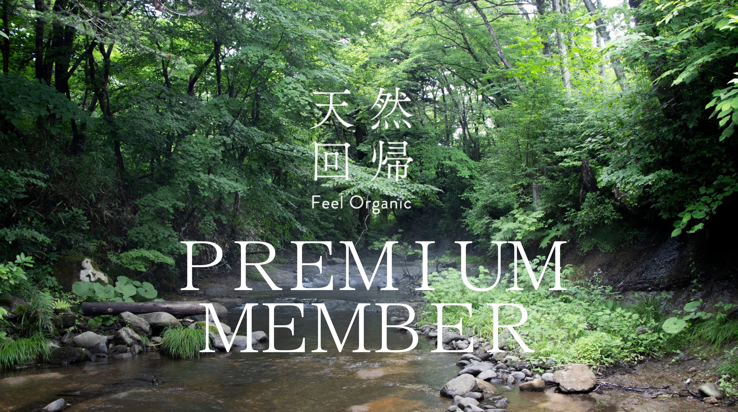 【NEWS！】天然回帰のプレミアムメンバー制度が誕生✨