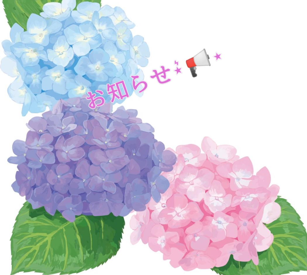 ジメジメした季節ですね☔