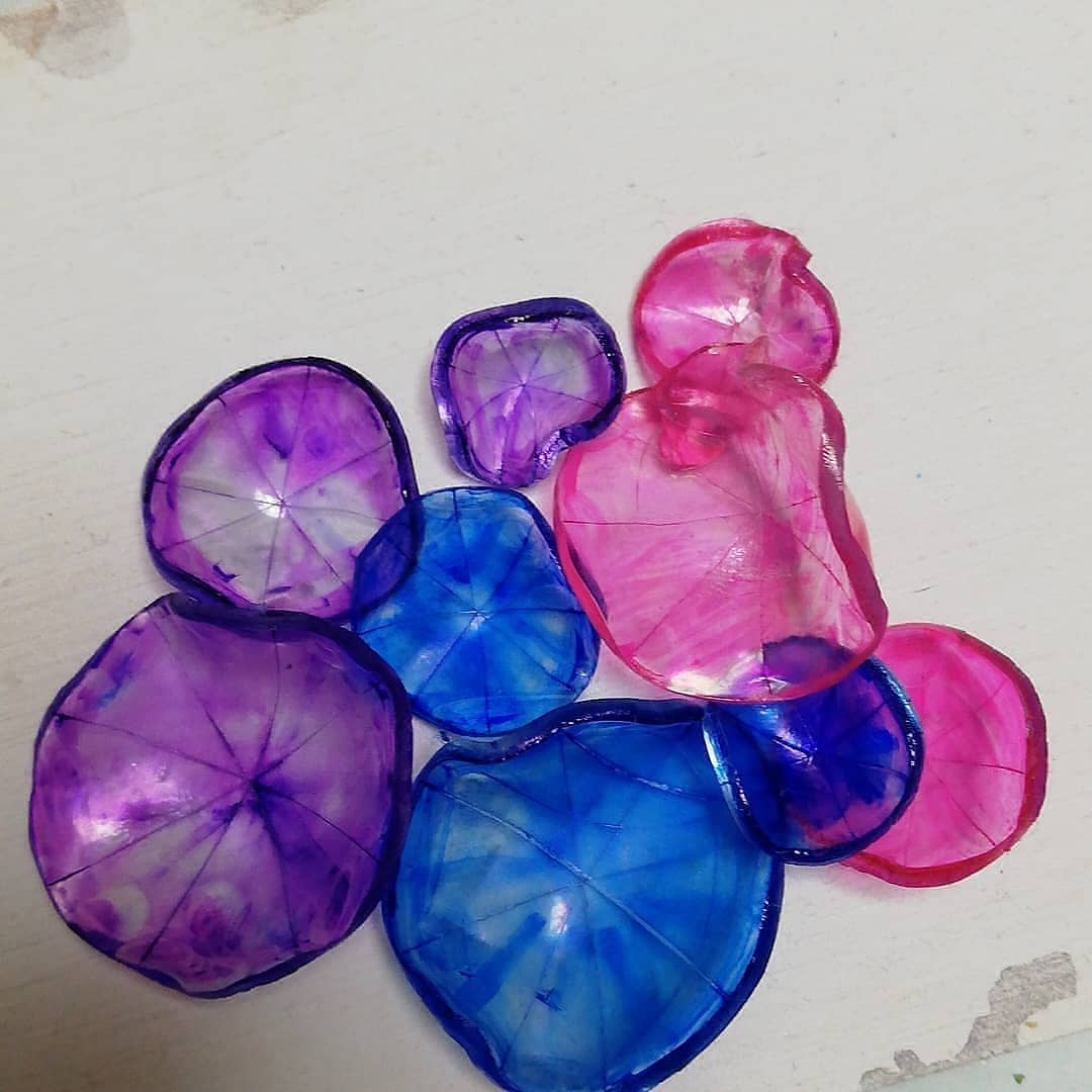 夏の花！