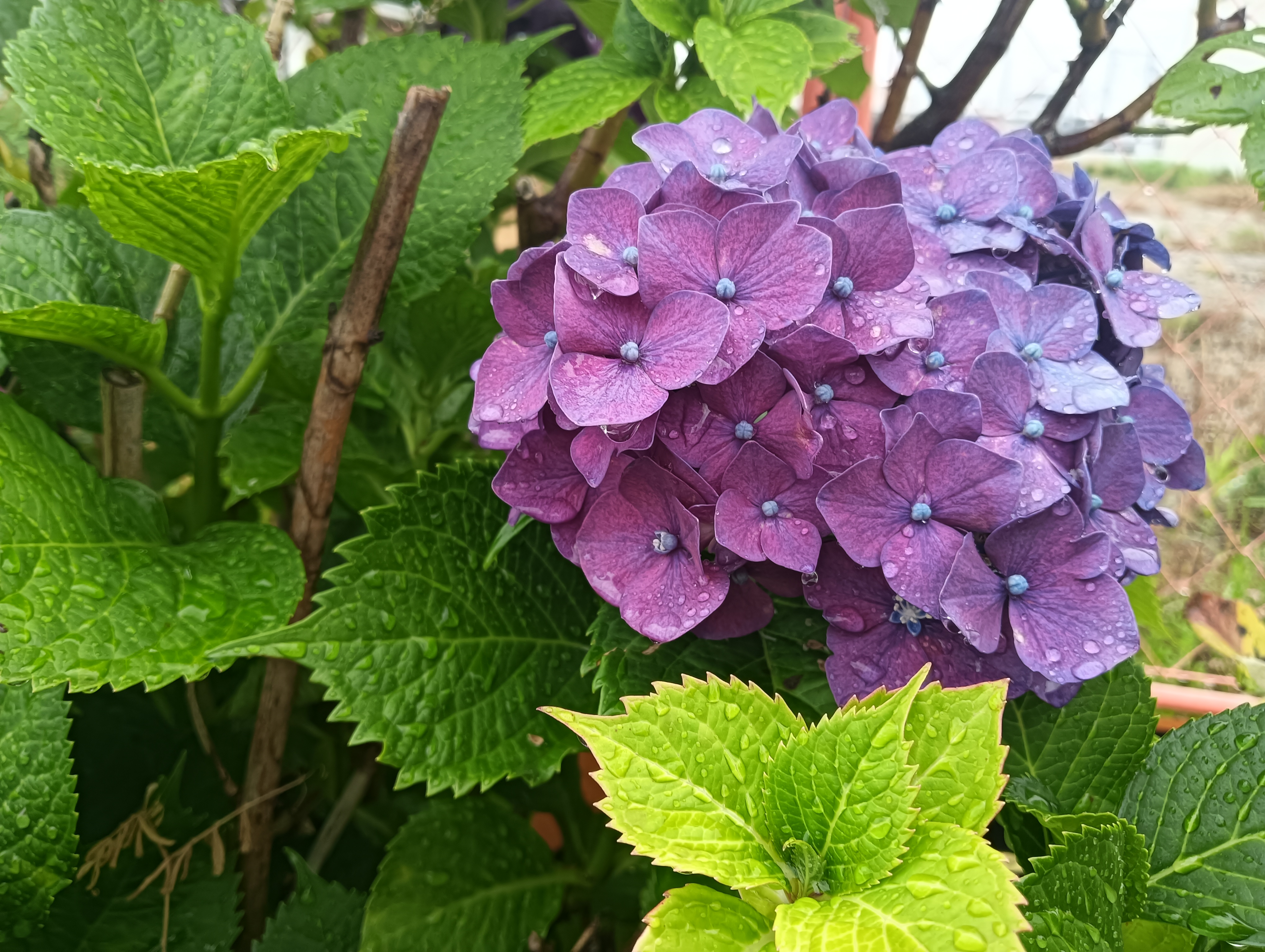 ◎　Let's enjoy nature! project 〜自然を楽しもうプロジェクト ⑥ ◎
