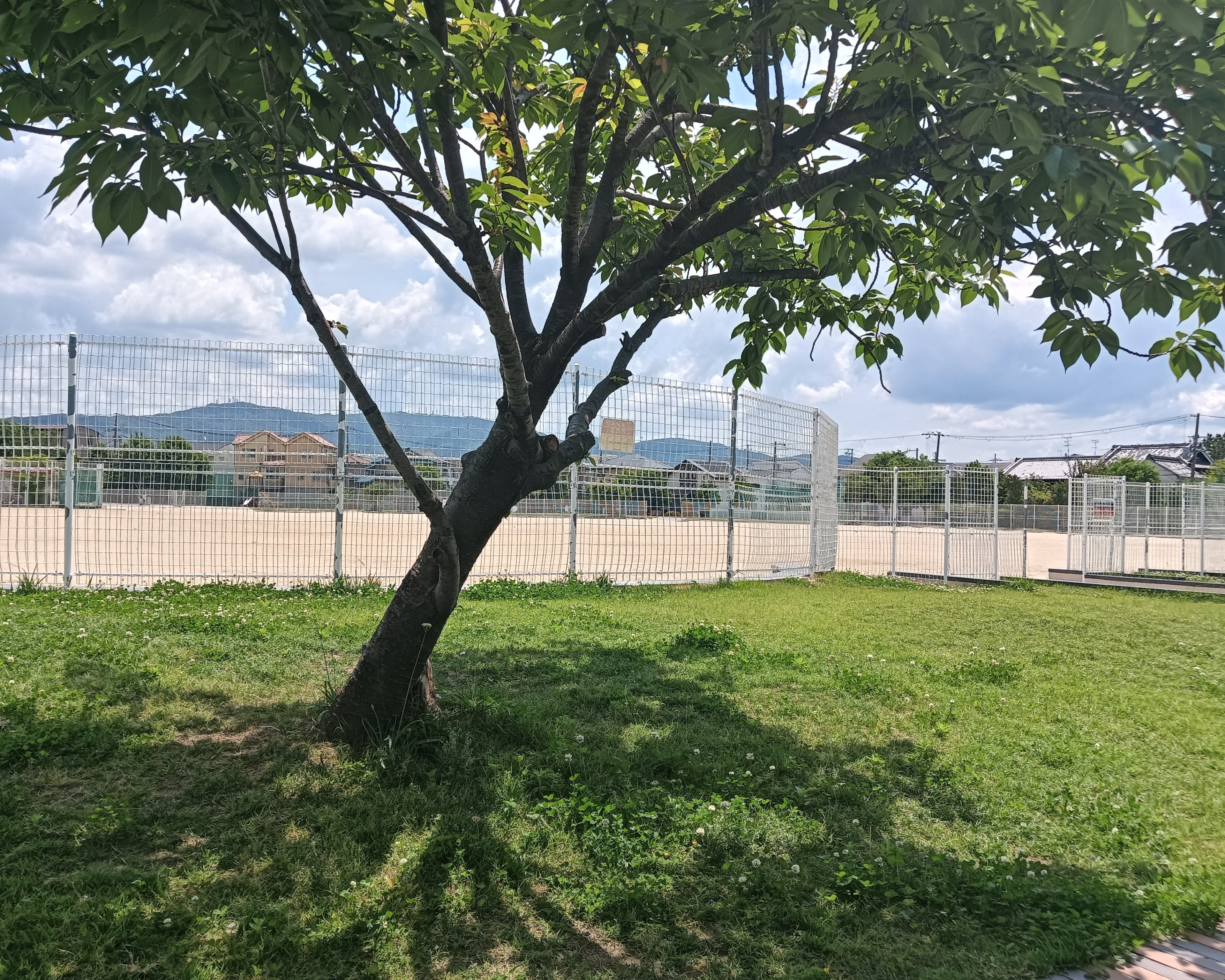 Let's enjoy nature!　project フィールドワーク④   地下調節池