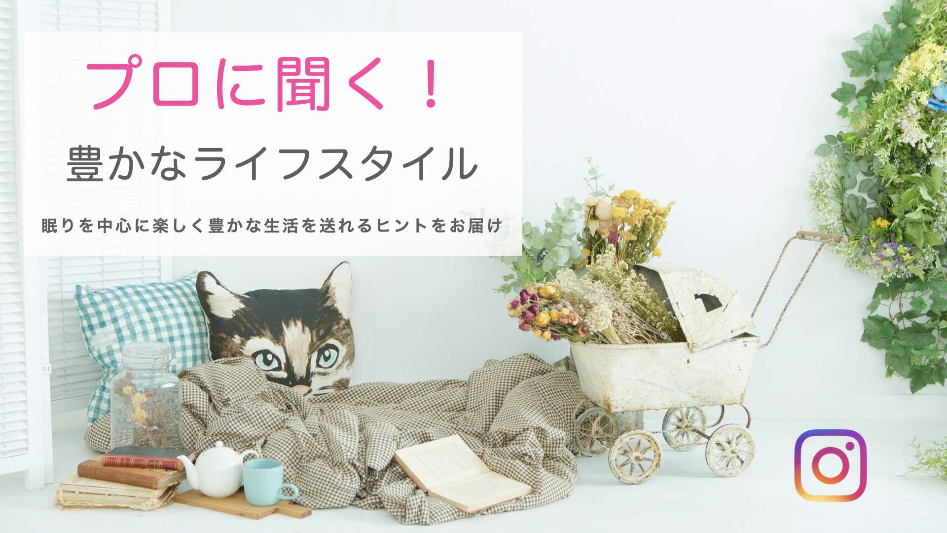 新コラボ企画「プロに聞く！豊かなライフスタイル」がスタート