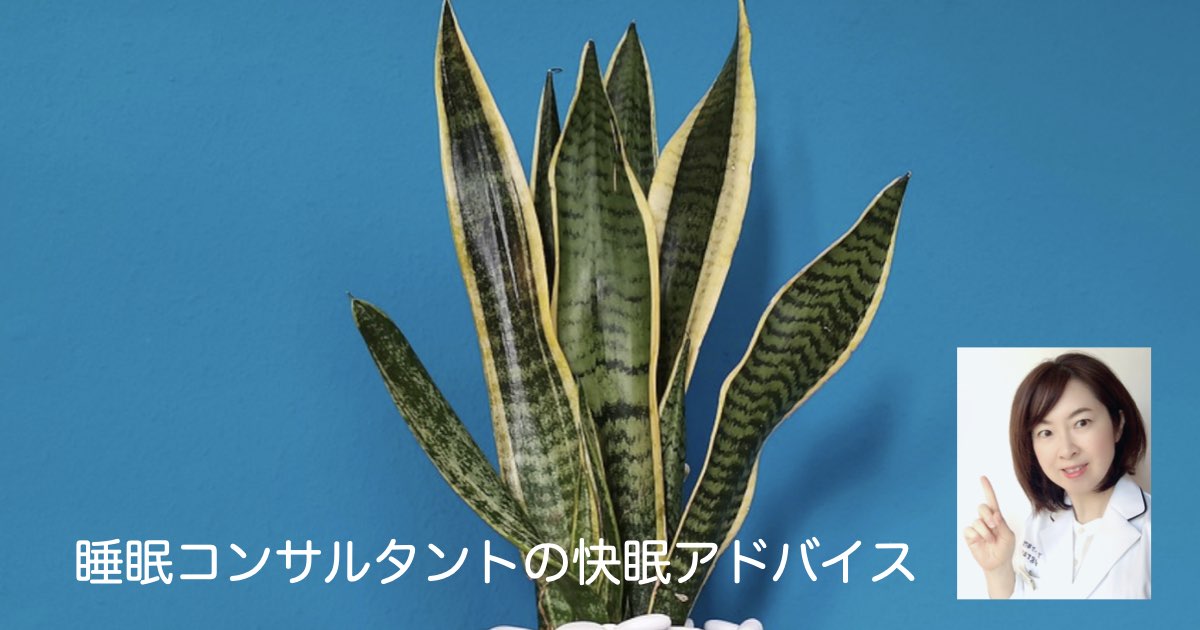 快眠アドバイス第106「安眠を手助けしてくれる植物」