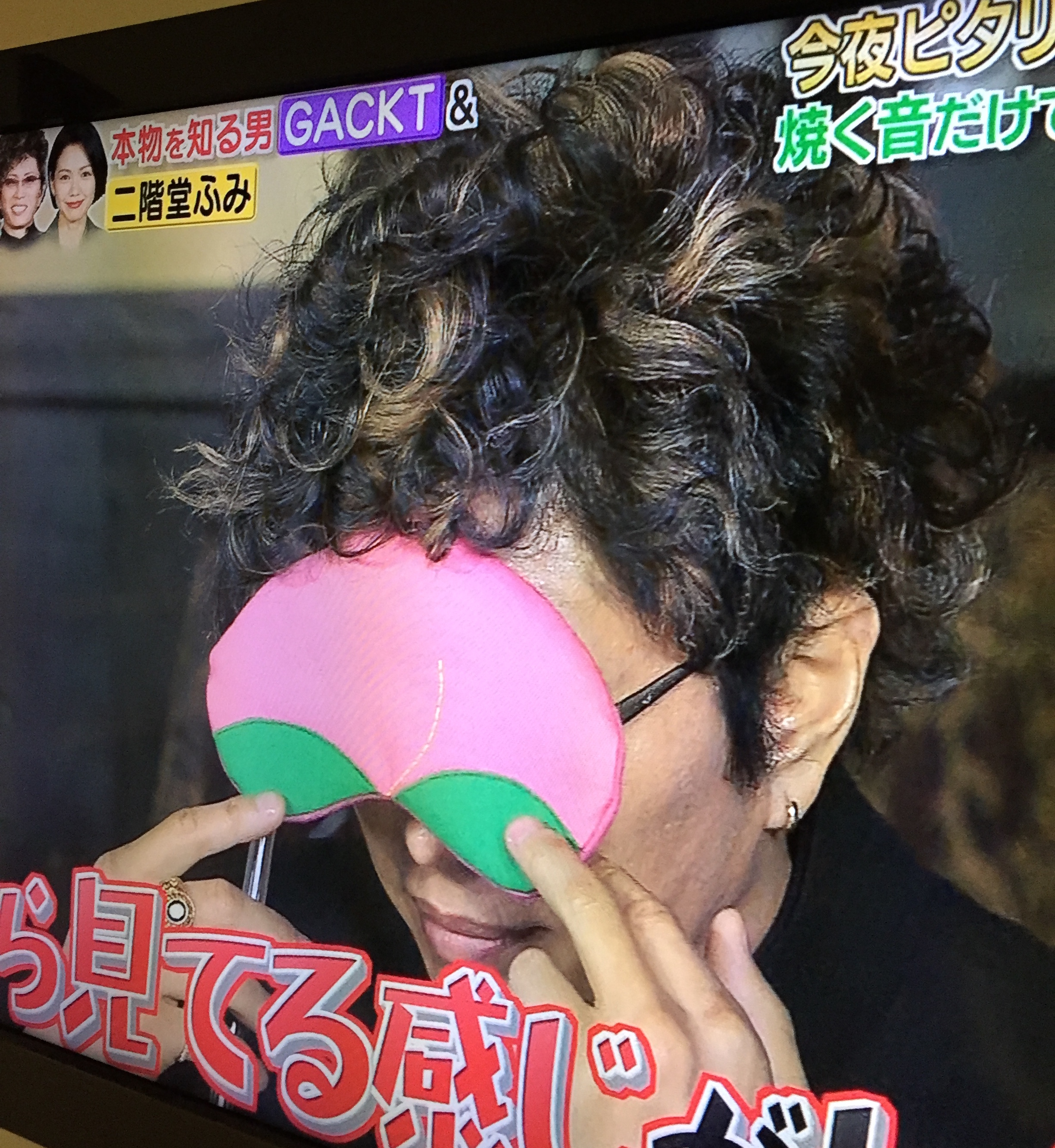 2019/2/14 ぐるナイで使用されました「ジューシー桃ちゃん」