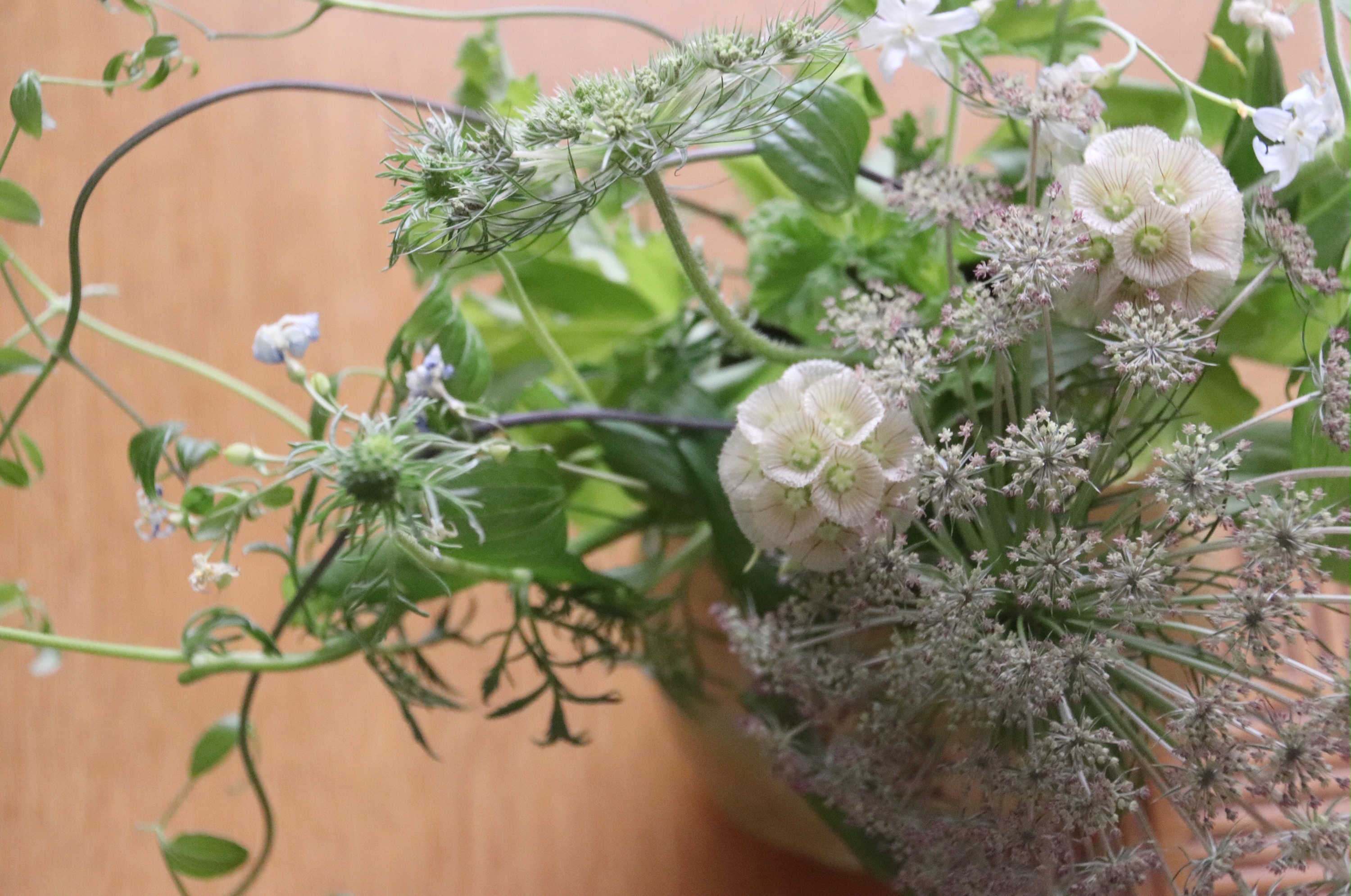 連休中の休業のお知らせ