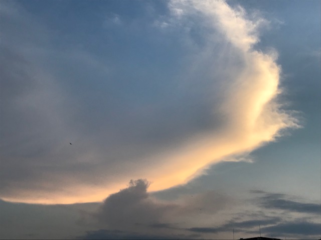 また、日常に。