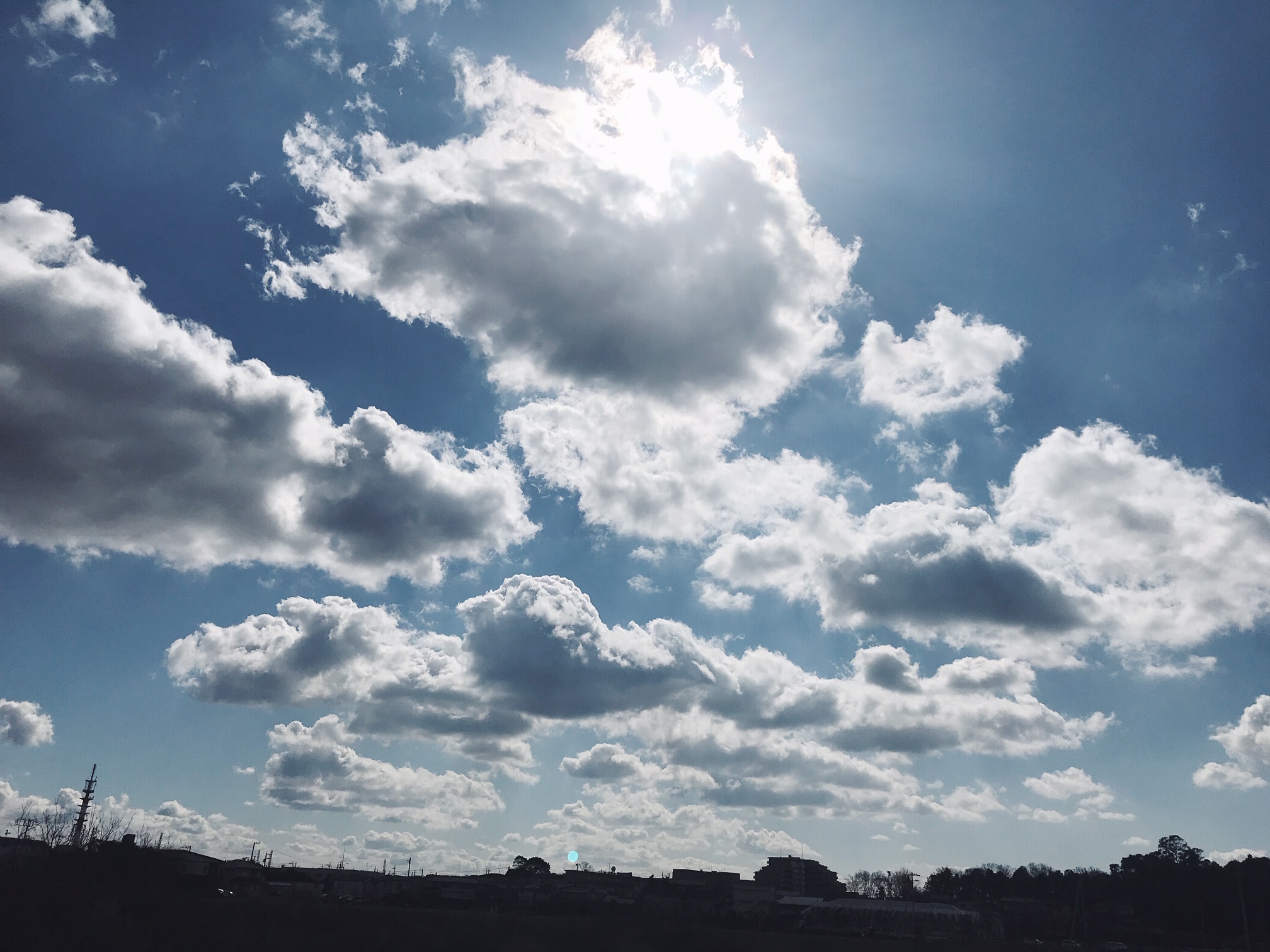 これからのこと