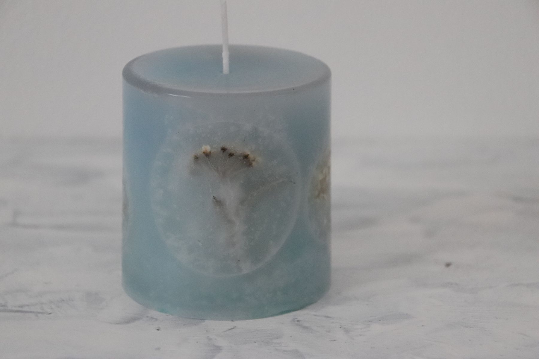 花の標本《コデマリ》