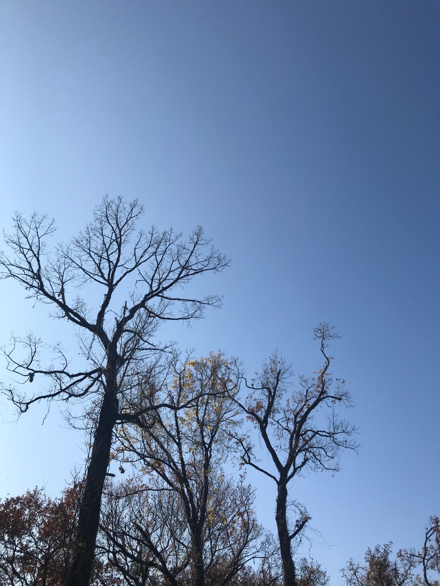 2020 ~プライベート編~