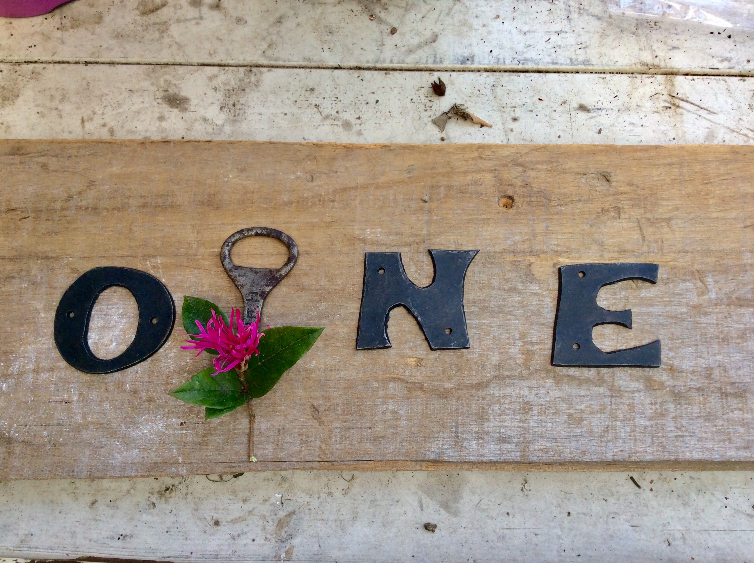 初めまして！OPNEです🌿