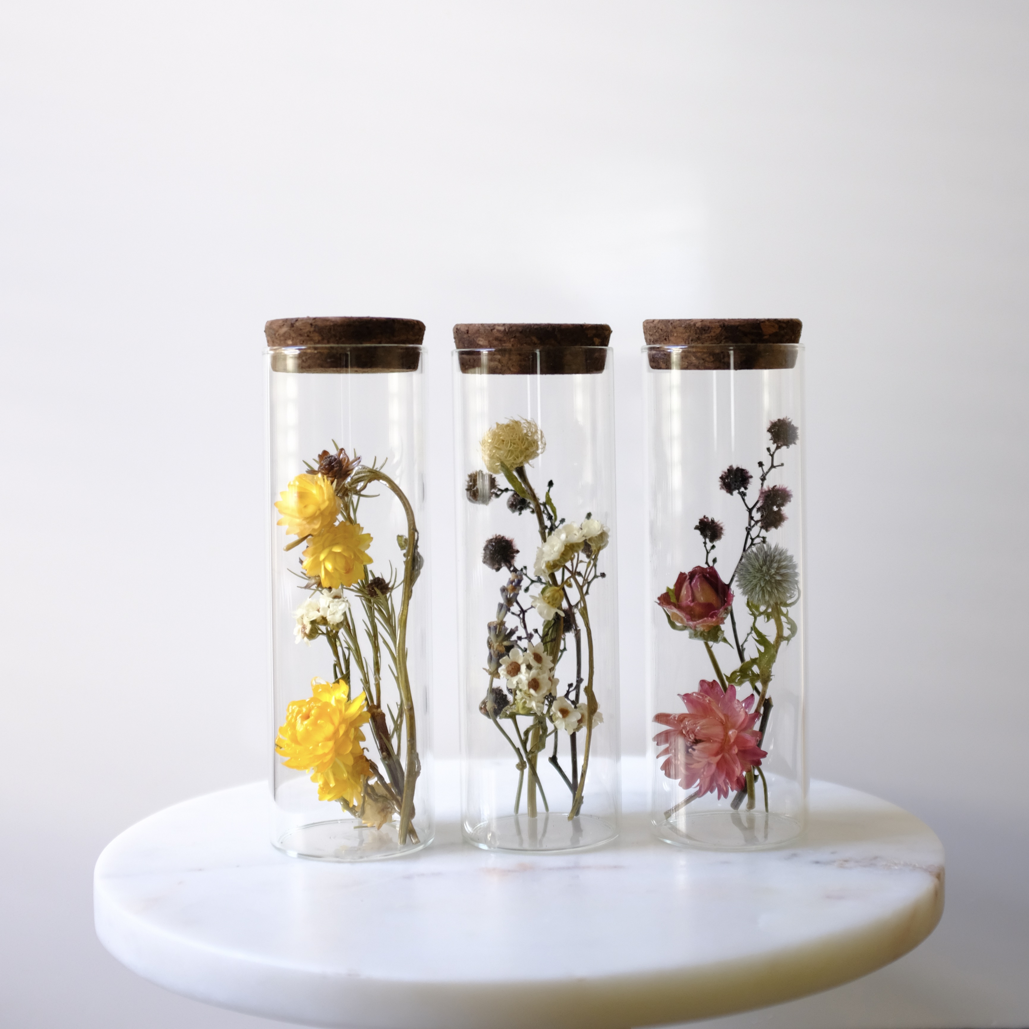 新商品 tsuyabana dried flower Cylinder / Dome 販売スタート
