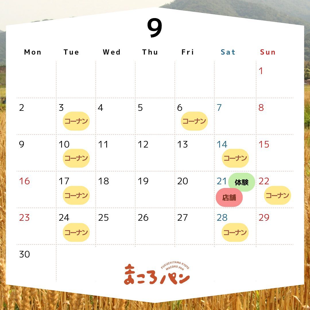 ９月の出店・委託販売予定　まころパン