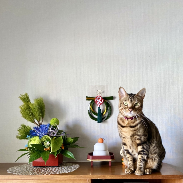 今年もよろしくお願いします。<(_ _)>