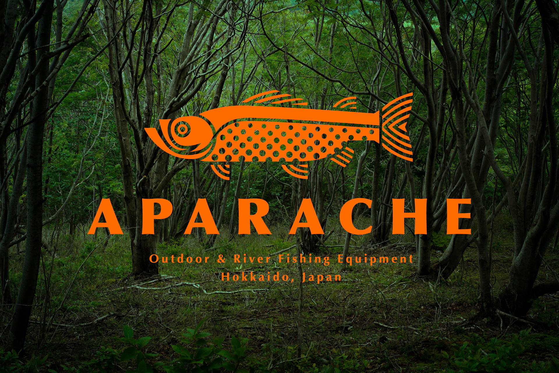 Webサイトリニューアルのお知らせ