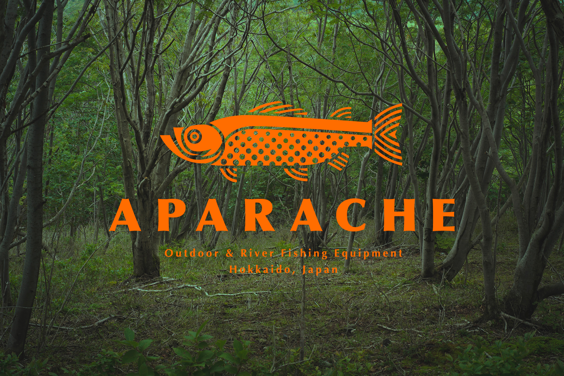 Webサイトリニューアルのお知らせ