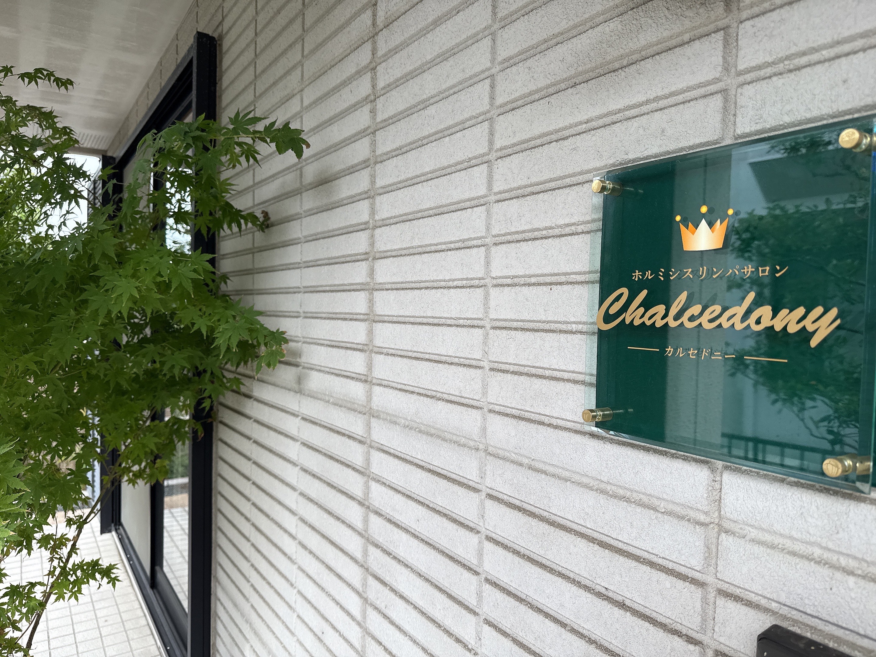 新規取扱店のご紹介