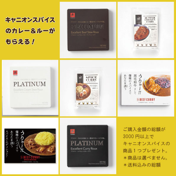 ✨【特別キャンペーンのお知らせ！】✨