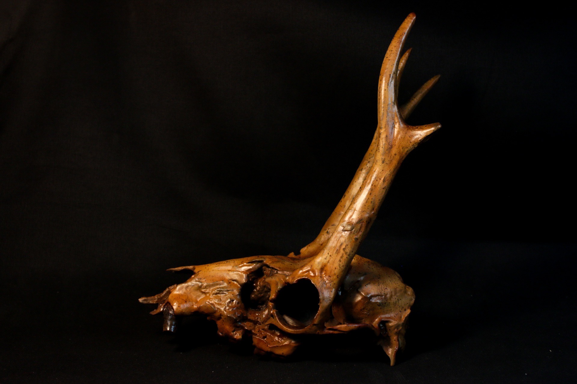 シカ科 の絶滅種の頭骨レプリカを作製しました！
