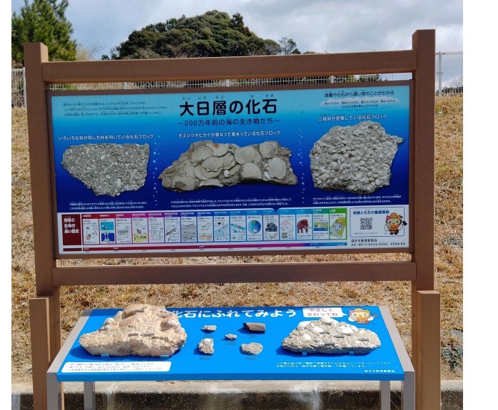 化石のレプリカをセメントで作成！