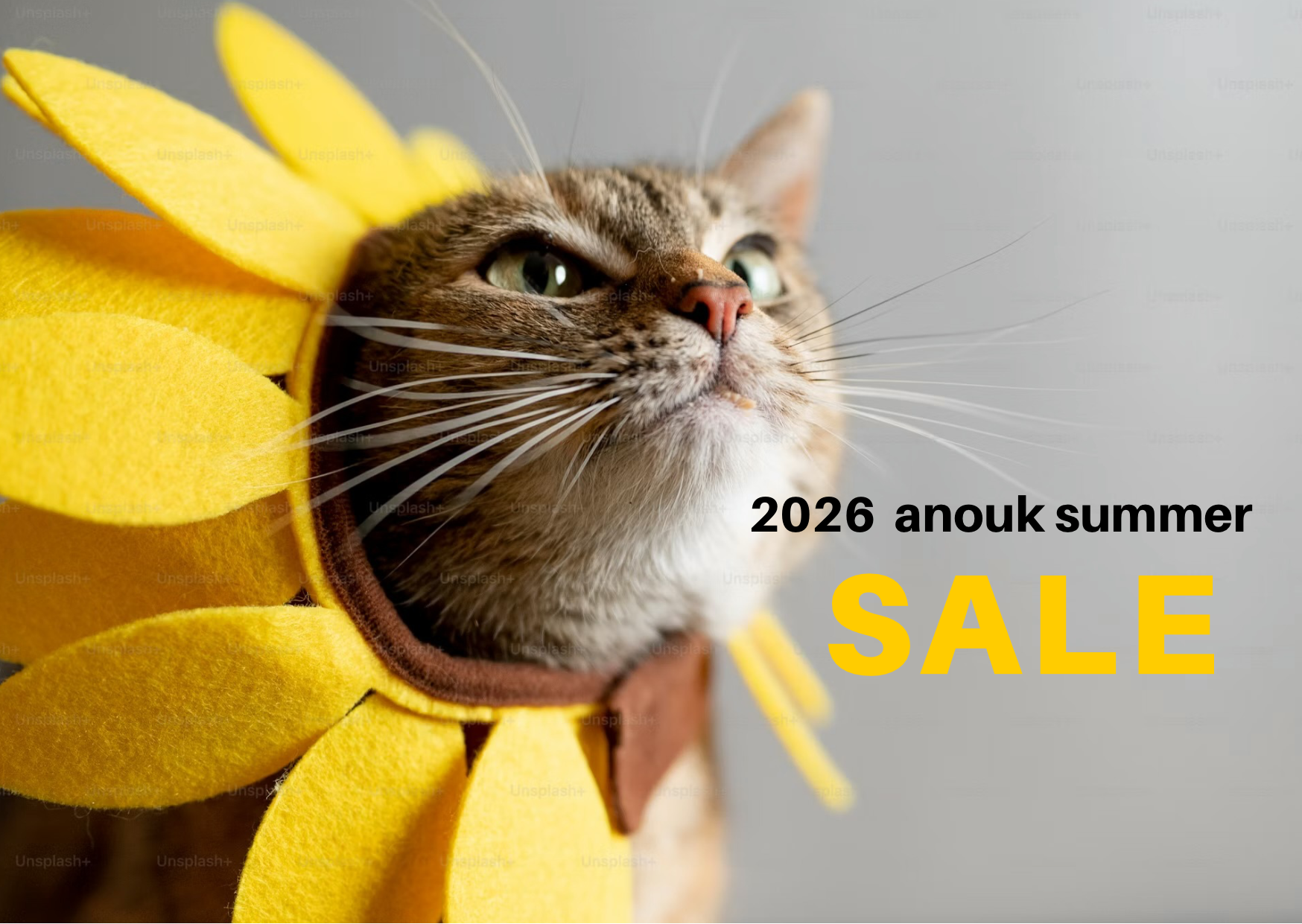 SUMMER SALE 7/9(木)~11:00 START
