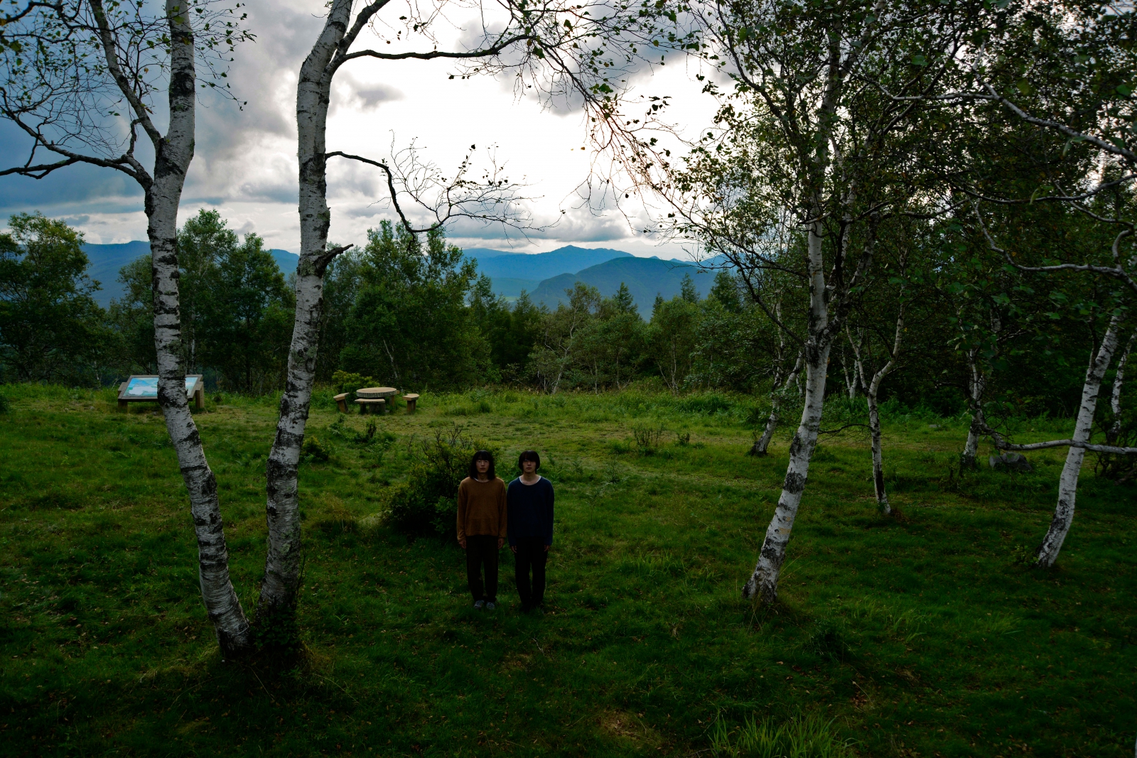 Land - CRAIG GREEN