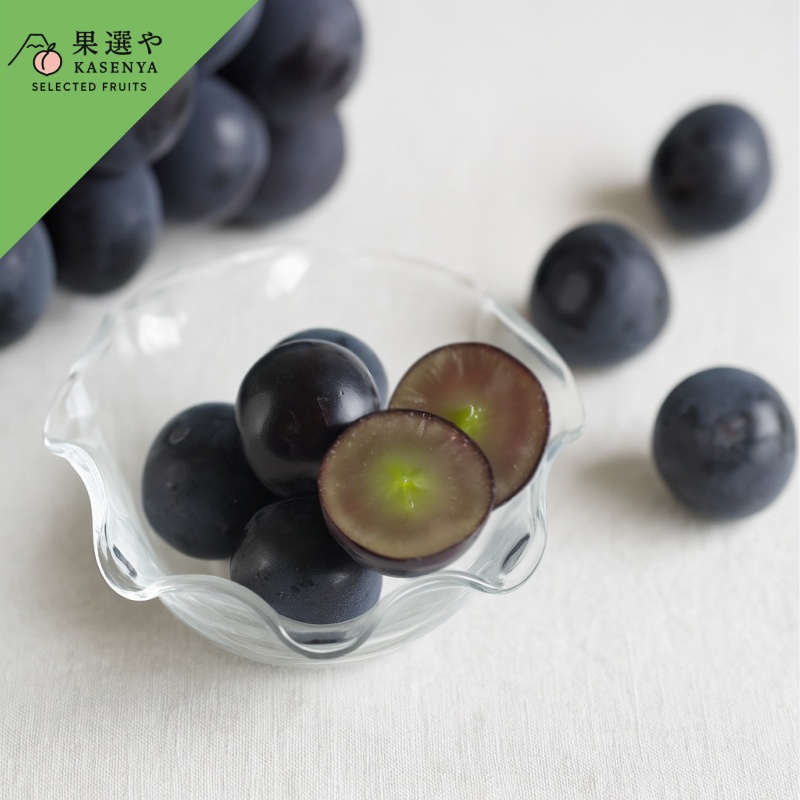 甲斐のくろまる、そろそろ始まります