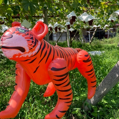 見守られて、育ちました