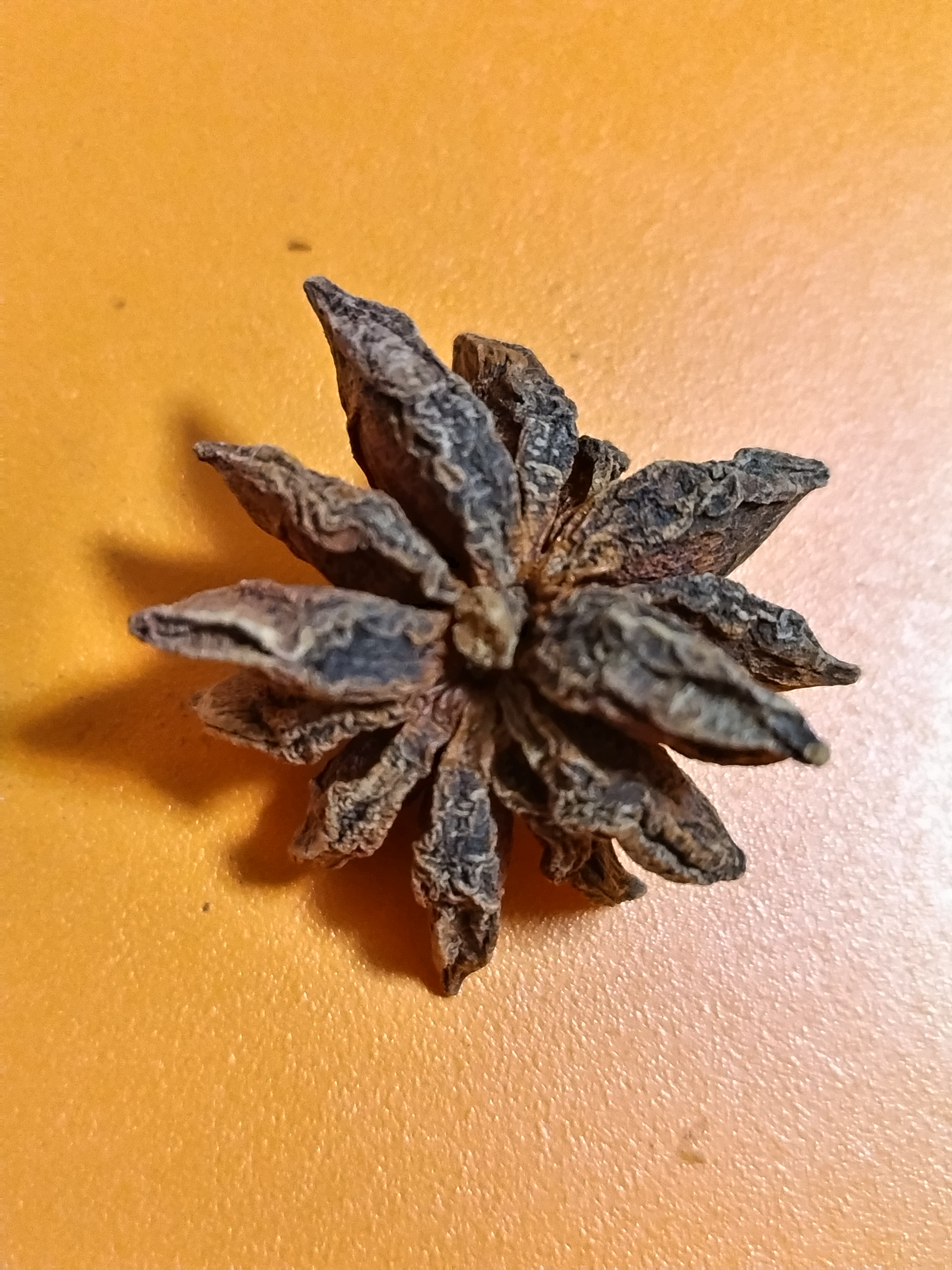 胃腸の働きを調える