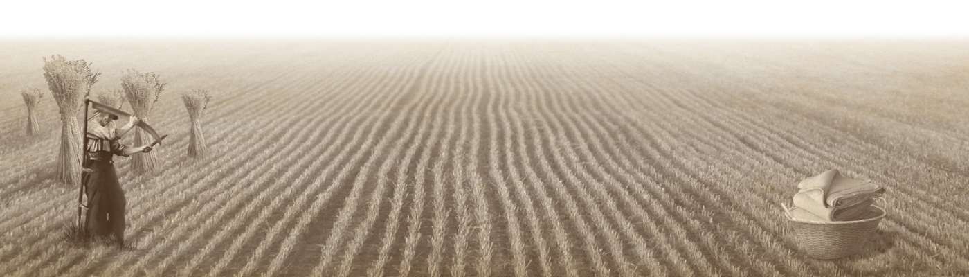 リトアニアリネンについて