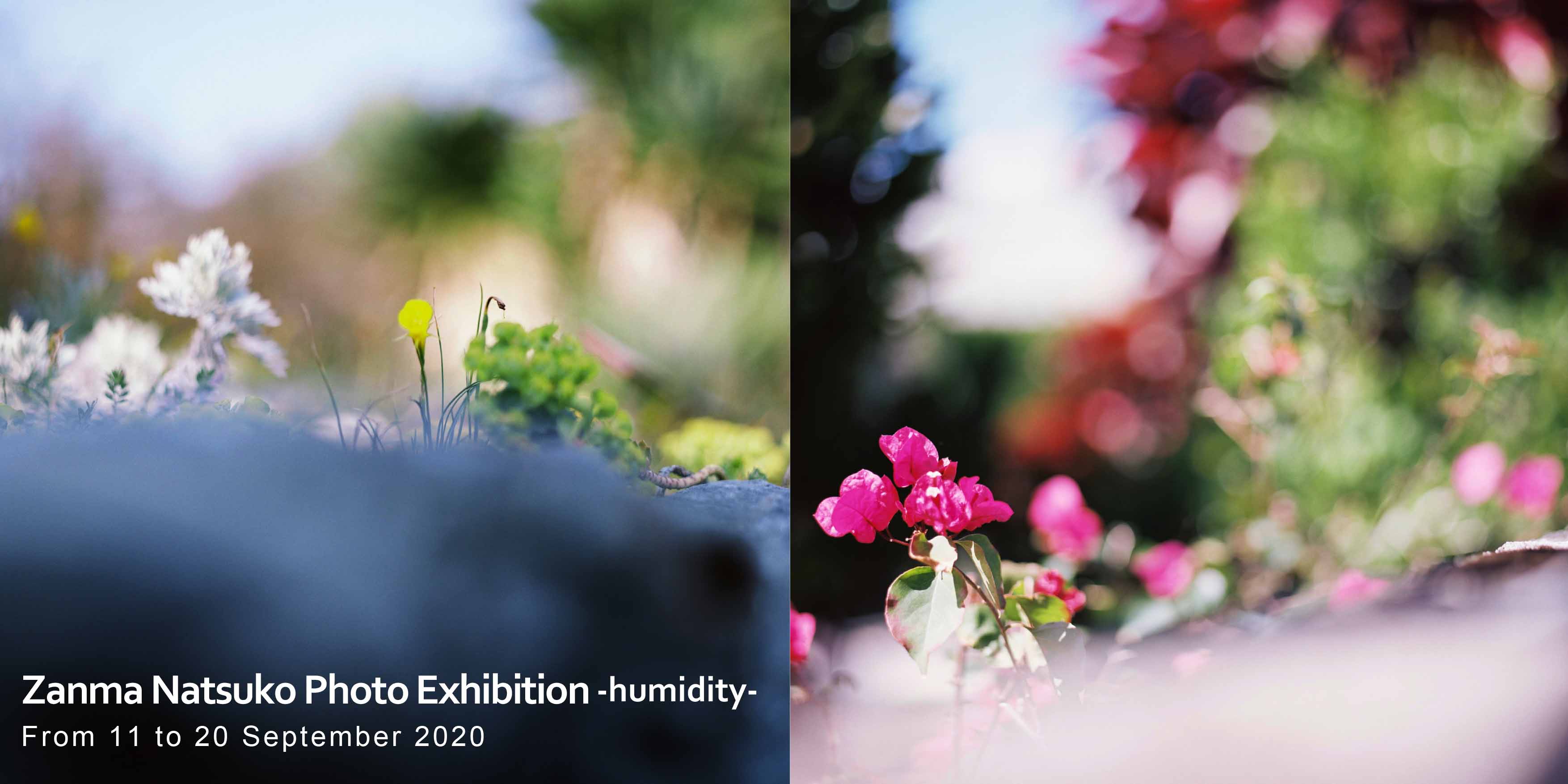 残間奈津子写真展-humidity-が9月11日（金）11時から、WEB開催もはじまります。